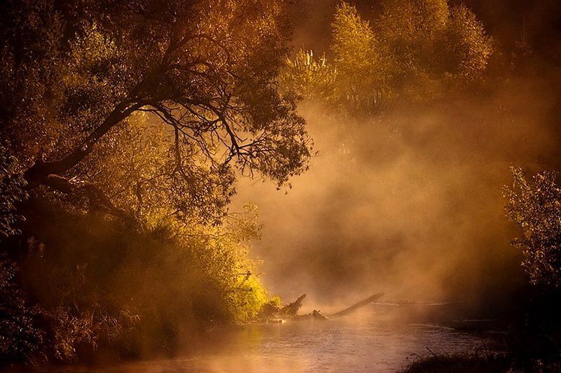 . фото превью