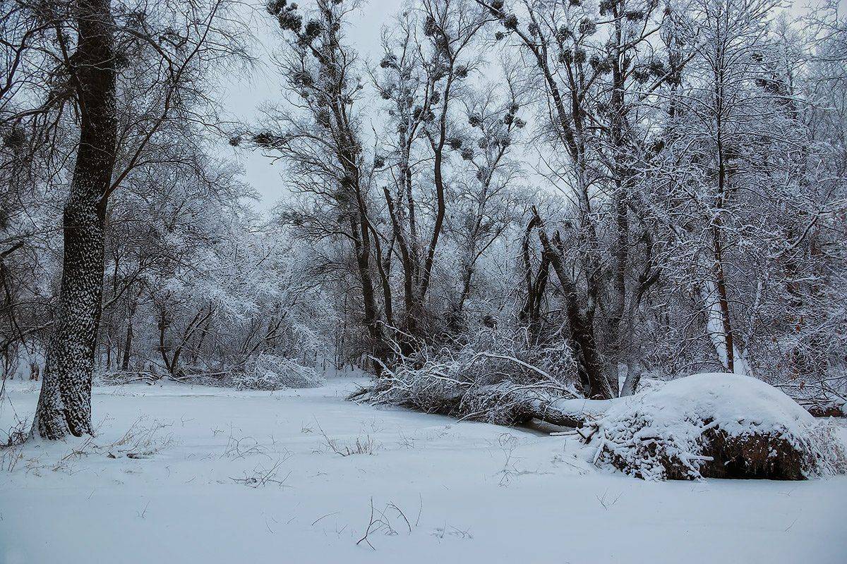 , Игорь Мелекесцев