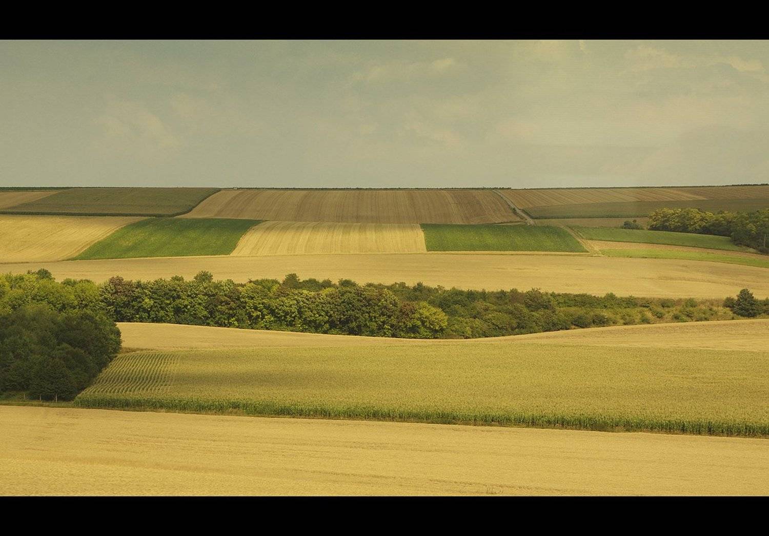 , Андрей Шахов