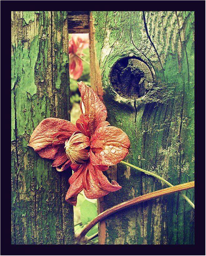 , Радковская Наталья