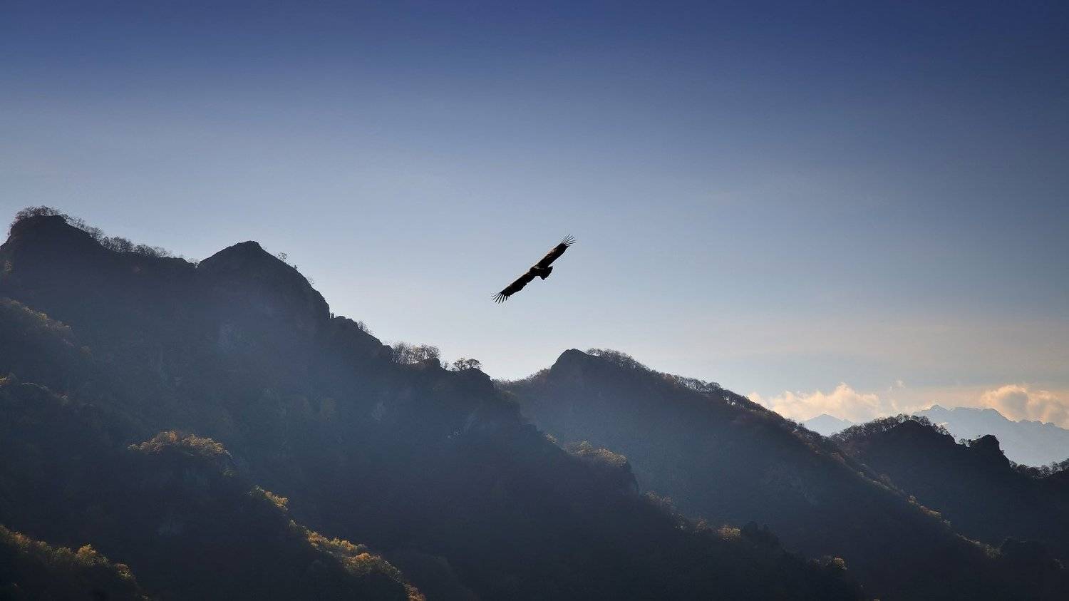 горы, небо, орел, Serj Master