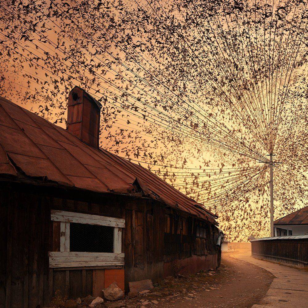 , Caras Ionut