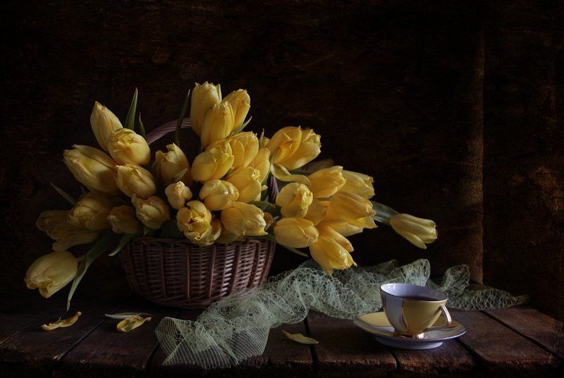 Они фото превью