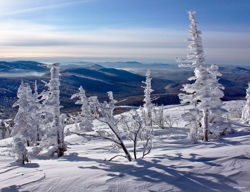 горы, шерегеш, горная шория, зима, сибирь Ёлки-палки фото превью