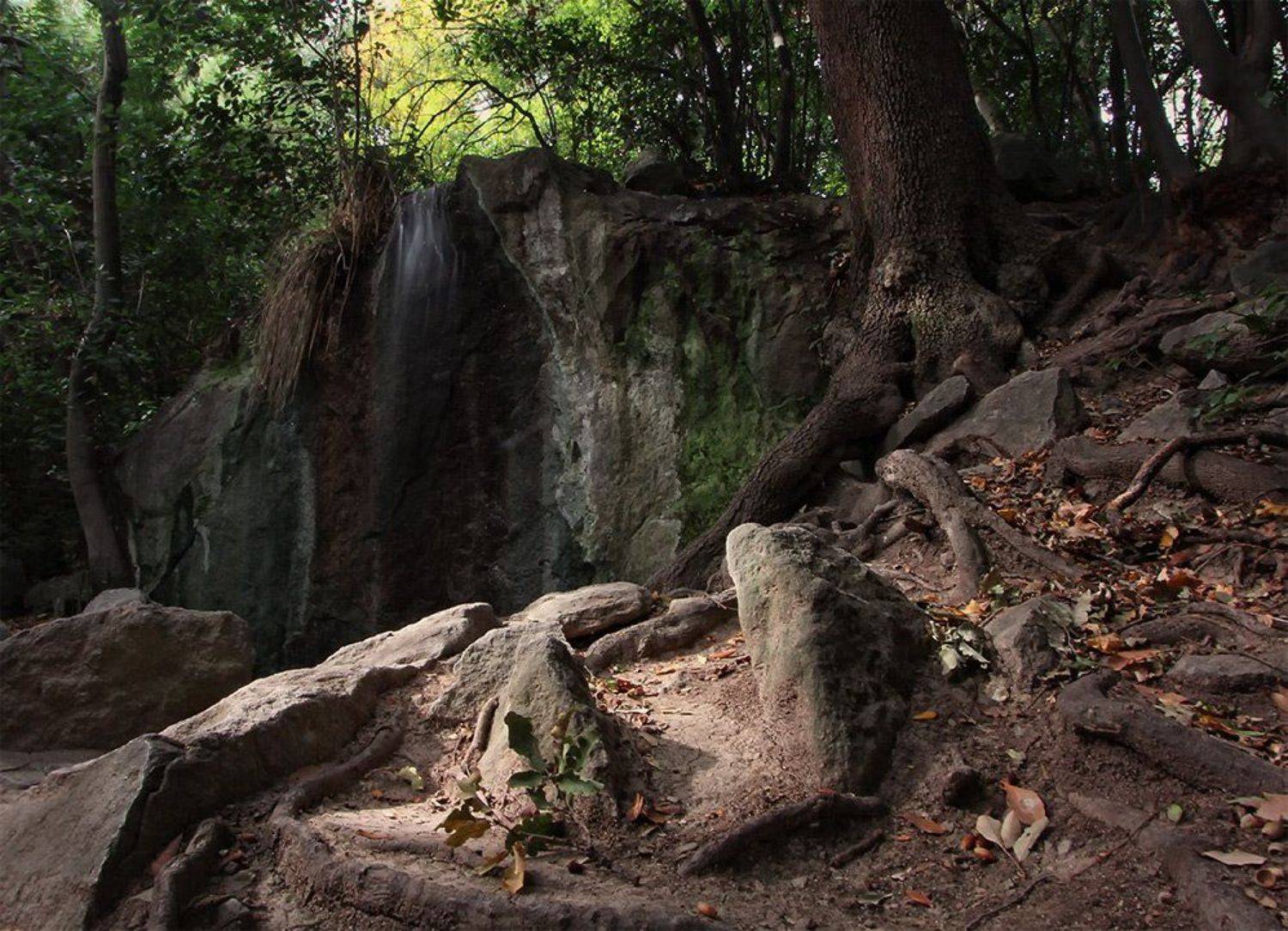 , Наталья Кузнецова (Nateletro)