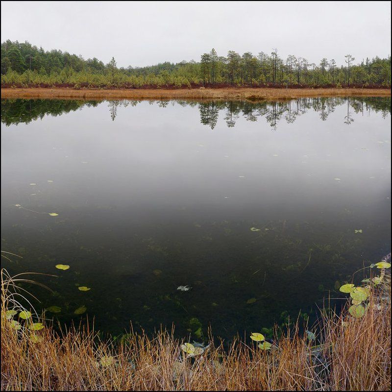 северный, урал, хмао в омут. с головой. фото превью