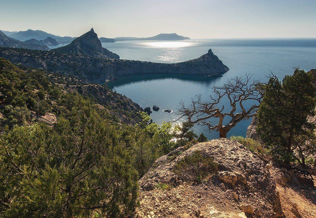 , Игорь Мелекесцев