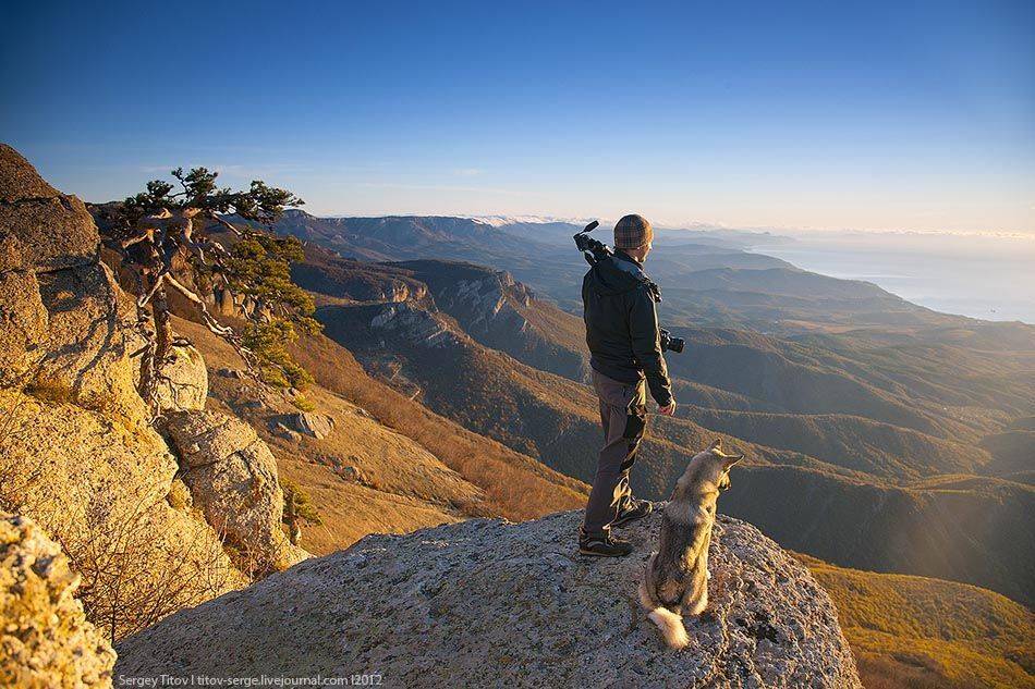 крым, горы, море, собака, лайка, Serge Titov