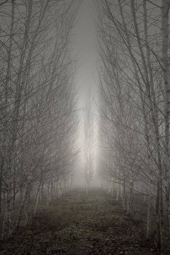 , Михаил  Пилипенко