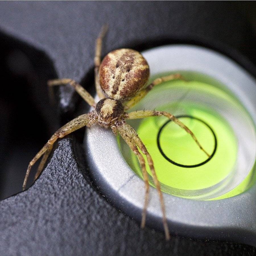 , Качурин Алексей