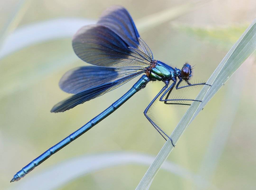 , Андрей Канышев