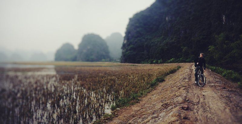 Viet фото превью