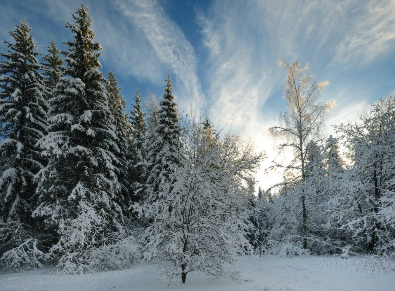 , Сергей Седов