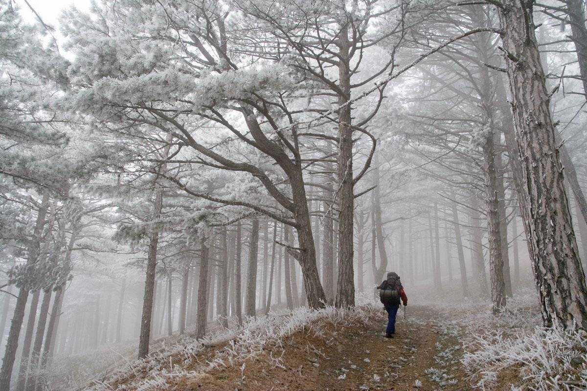 , Виталий Ра