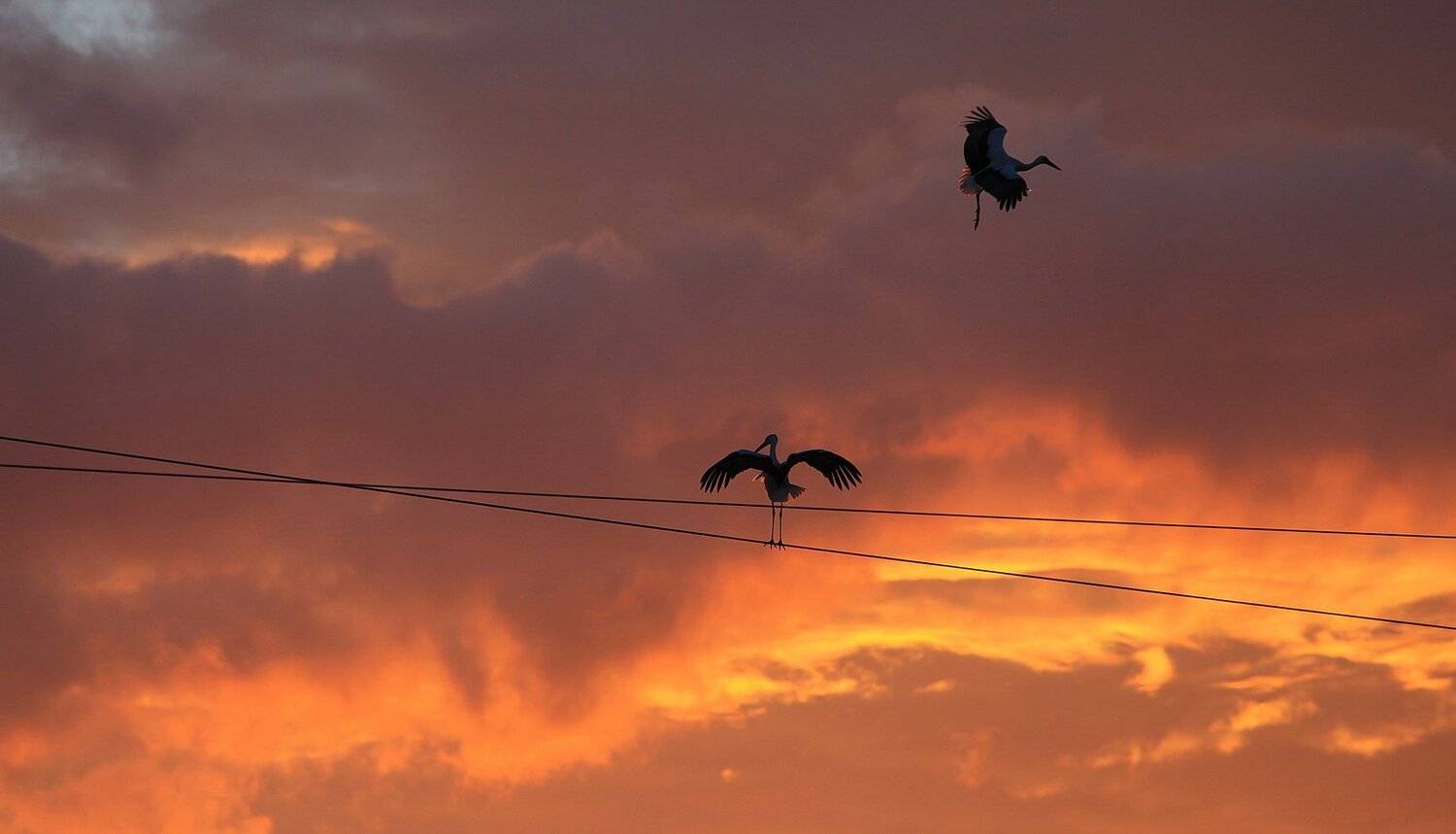 , Валерий Кондратов