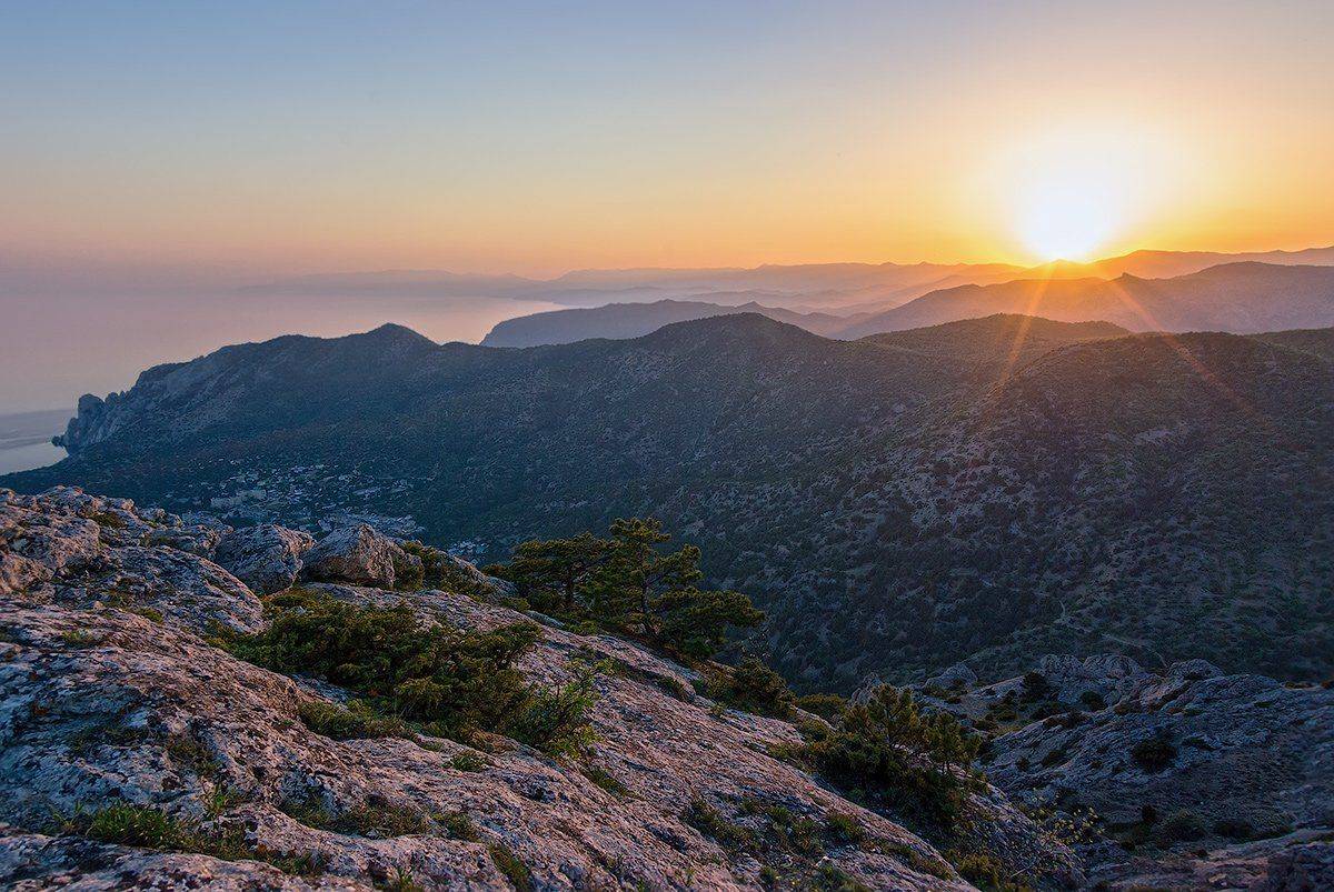 , Игорь Мелекесцев