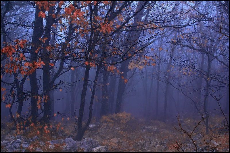 Сумерки фото превью