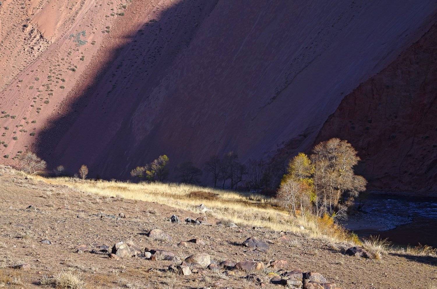 киргизия, тень и свет, Екатерина (PhotoJourneys.ru) Васягина