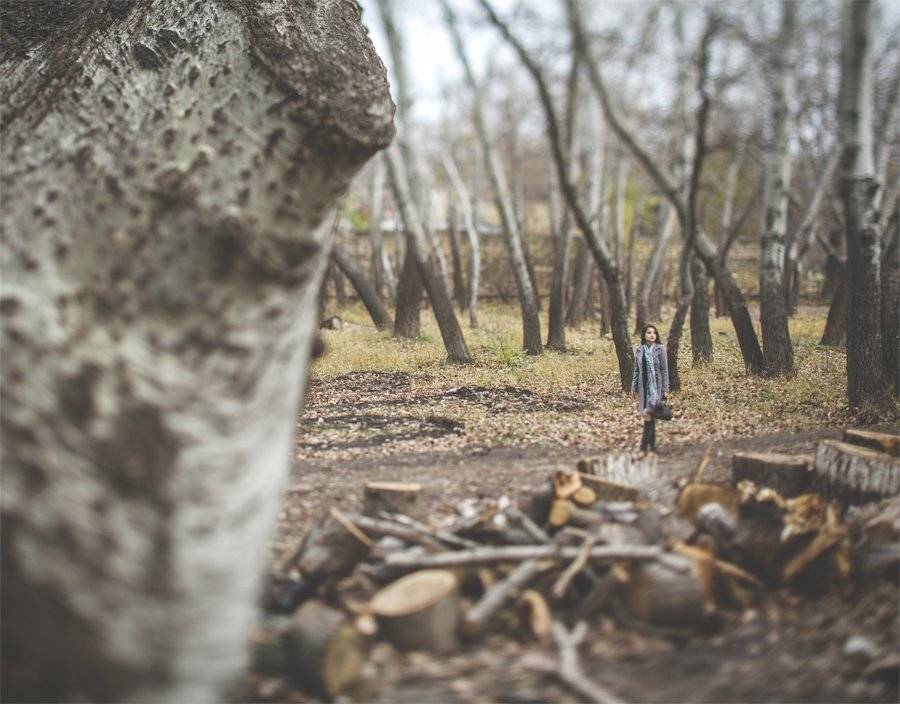 , Тамерлан Кагерманов