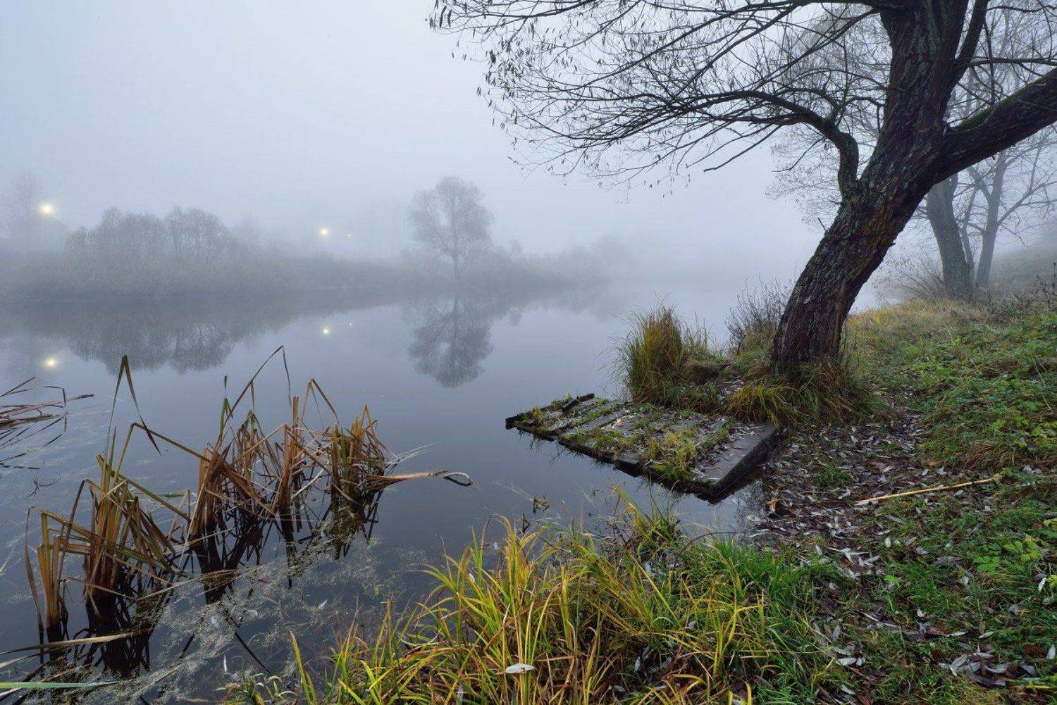 , Максим Евдокимов
