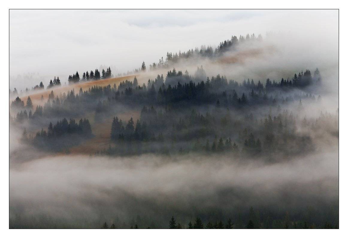 карпаты, горы, туман, Кочетков Евгений