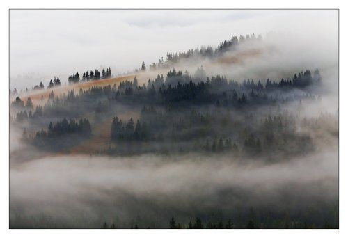 ЗАХЛЕБНУВШИСЬ ТУМАНОМ.