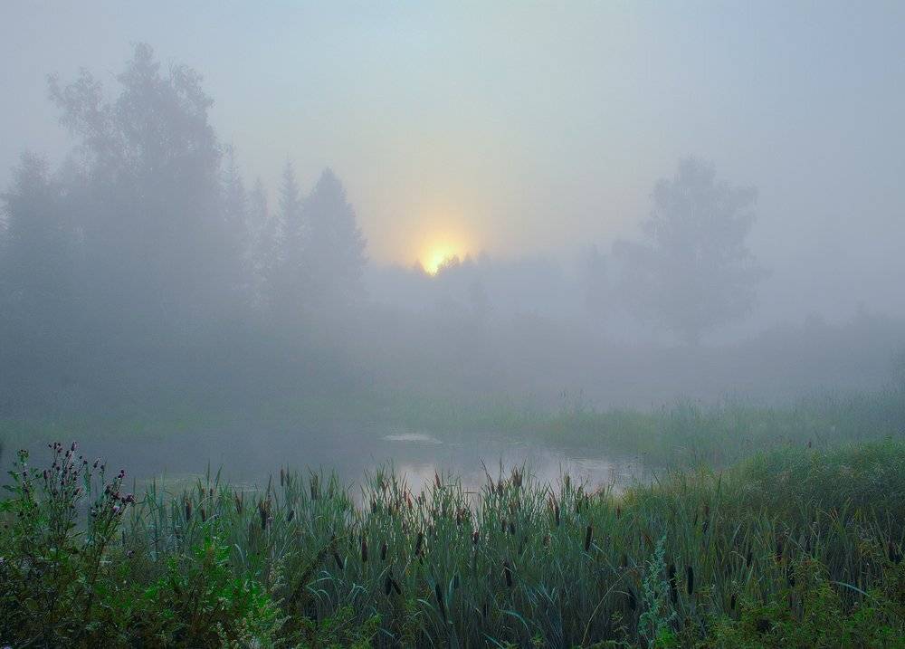 , Николай Морский