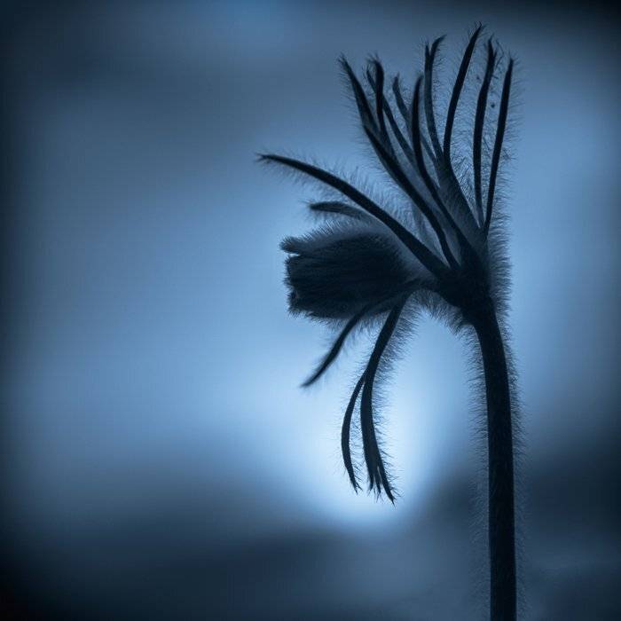 , Татьяна Аверина