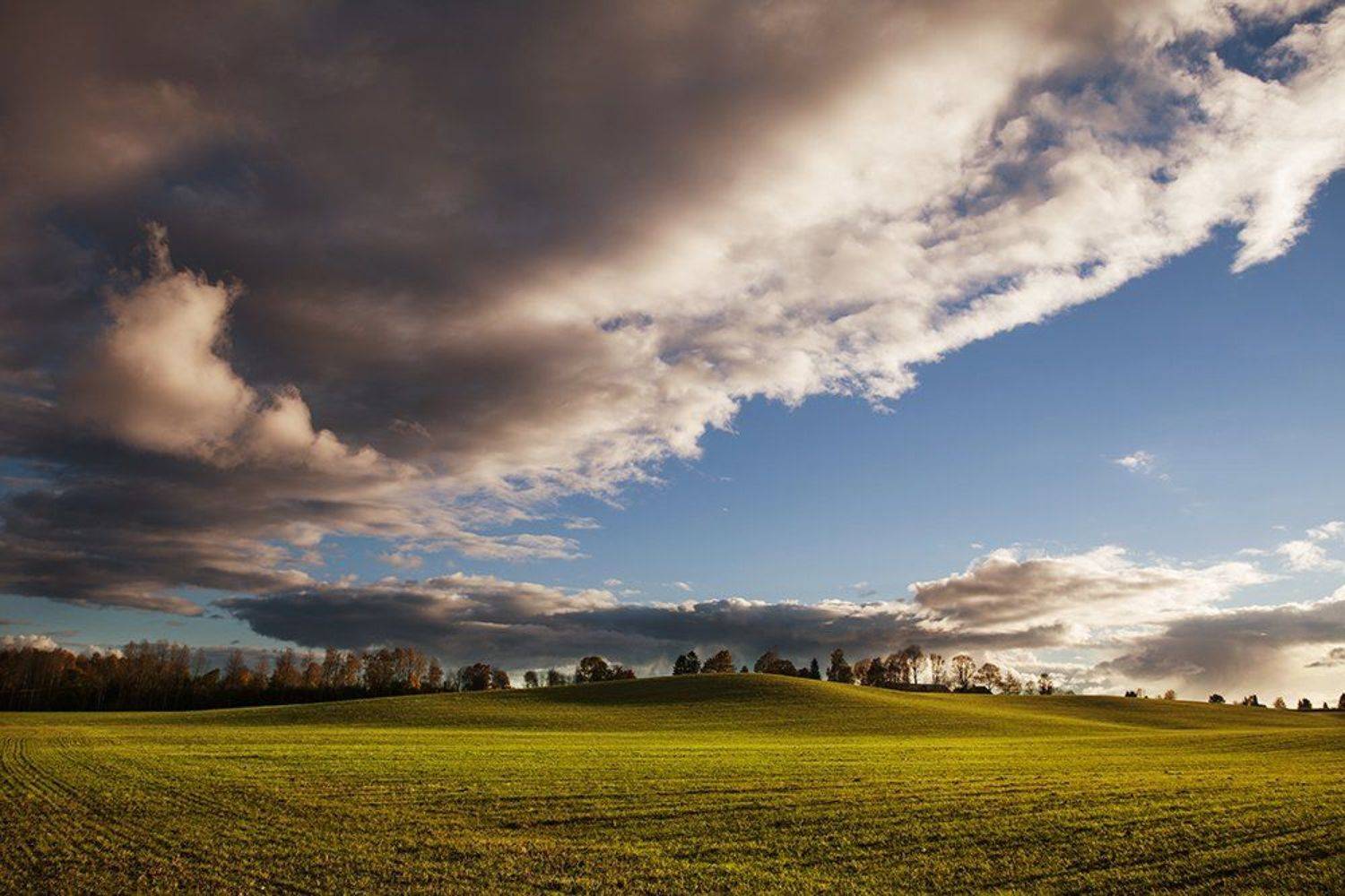 , Сульдин Павел