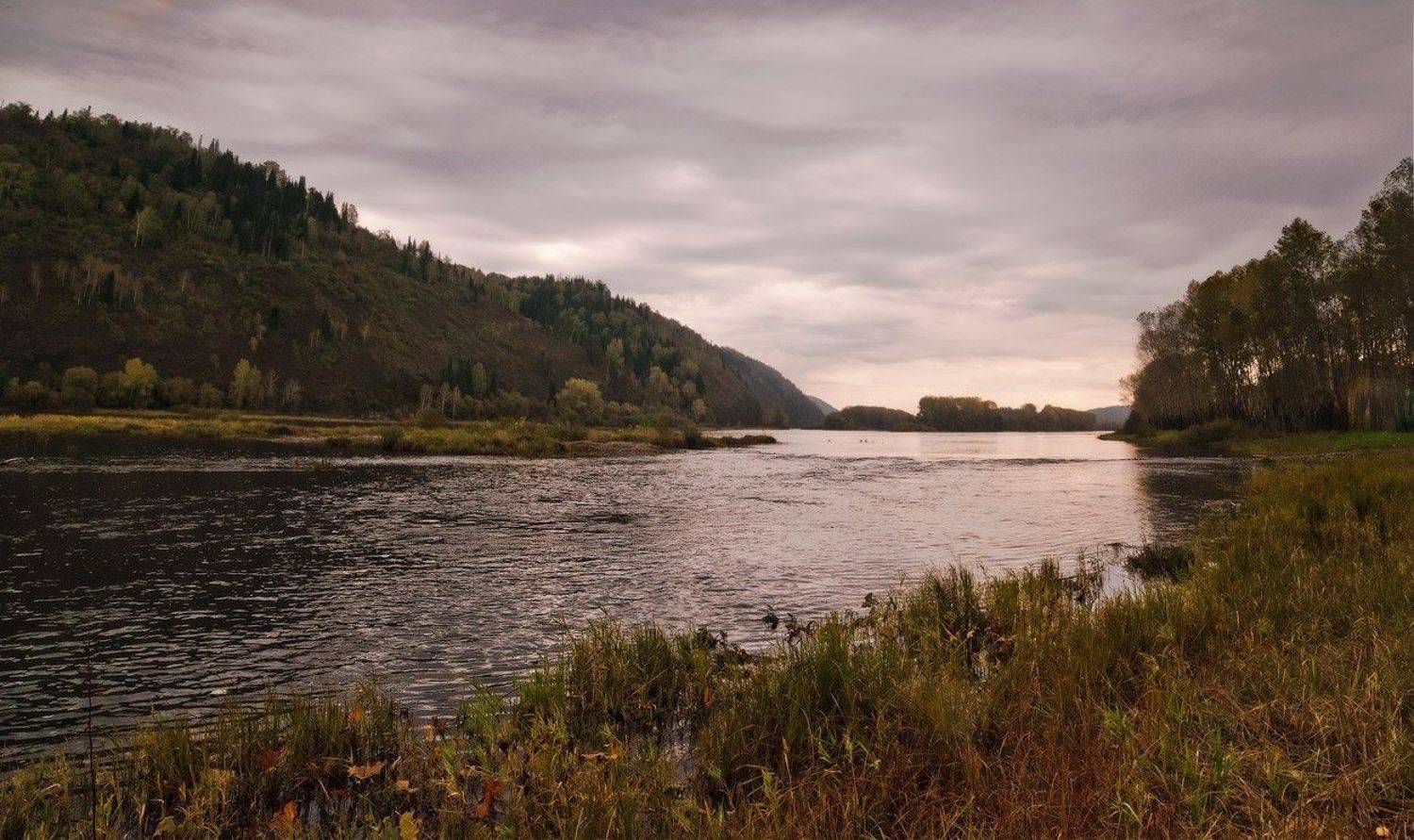 алтай, река, пасмурно, Андрей Журавлев