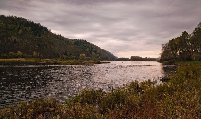 алтай, река, пасмурно Пасмурный Алтай фото превью