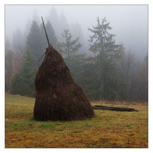 СТОЖИК В ТУМАНЕ.