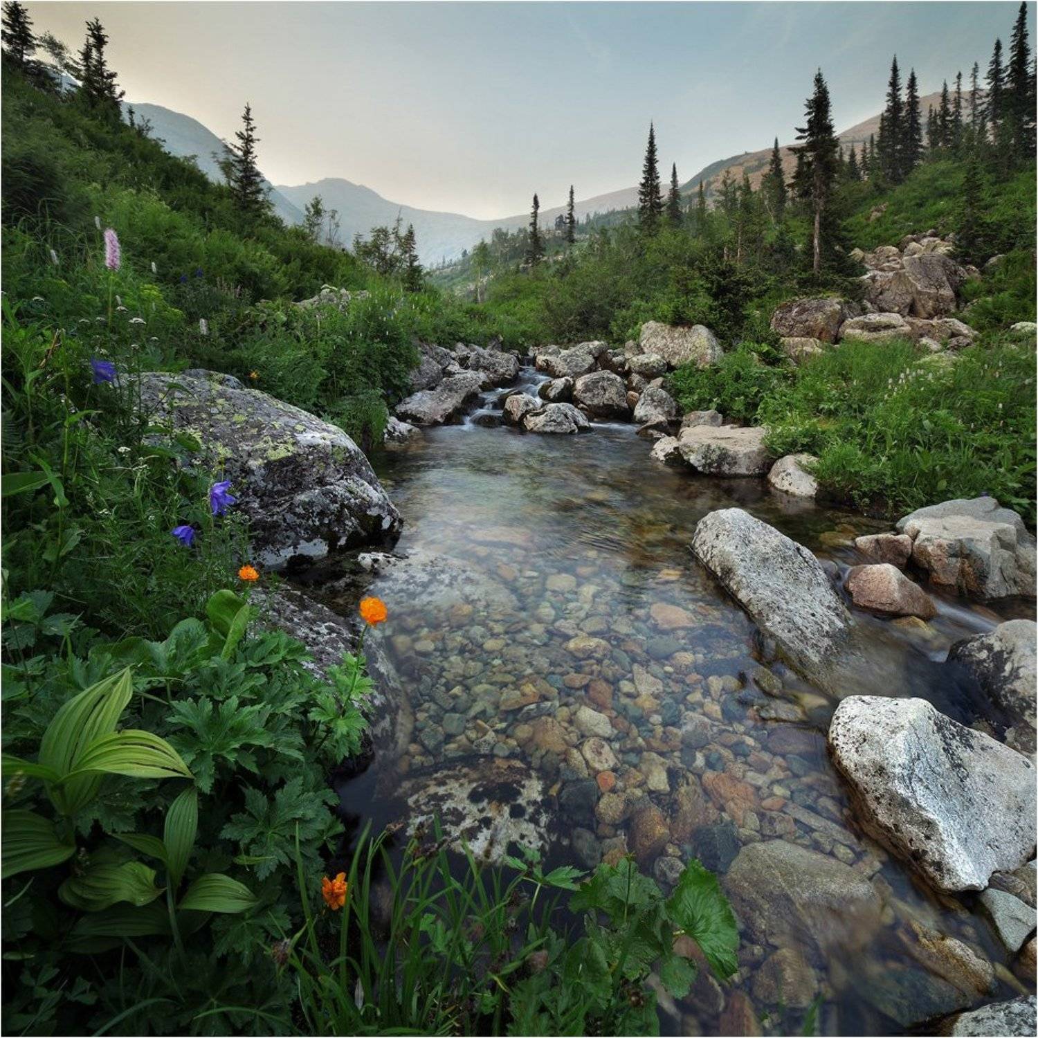 , Александр Устинович