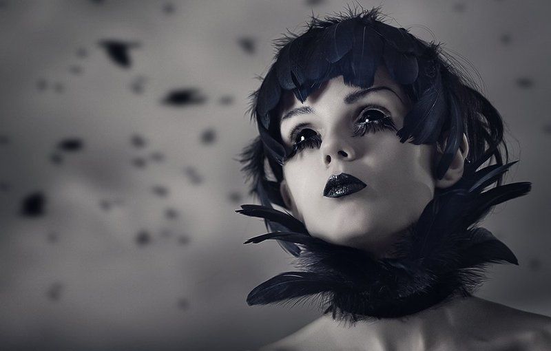 Crow фото превью