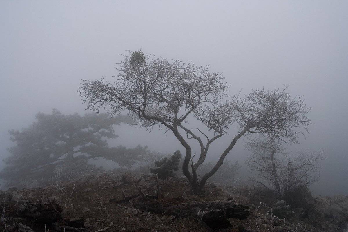 , Виталий Ра