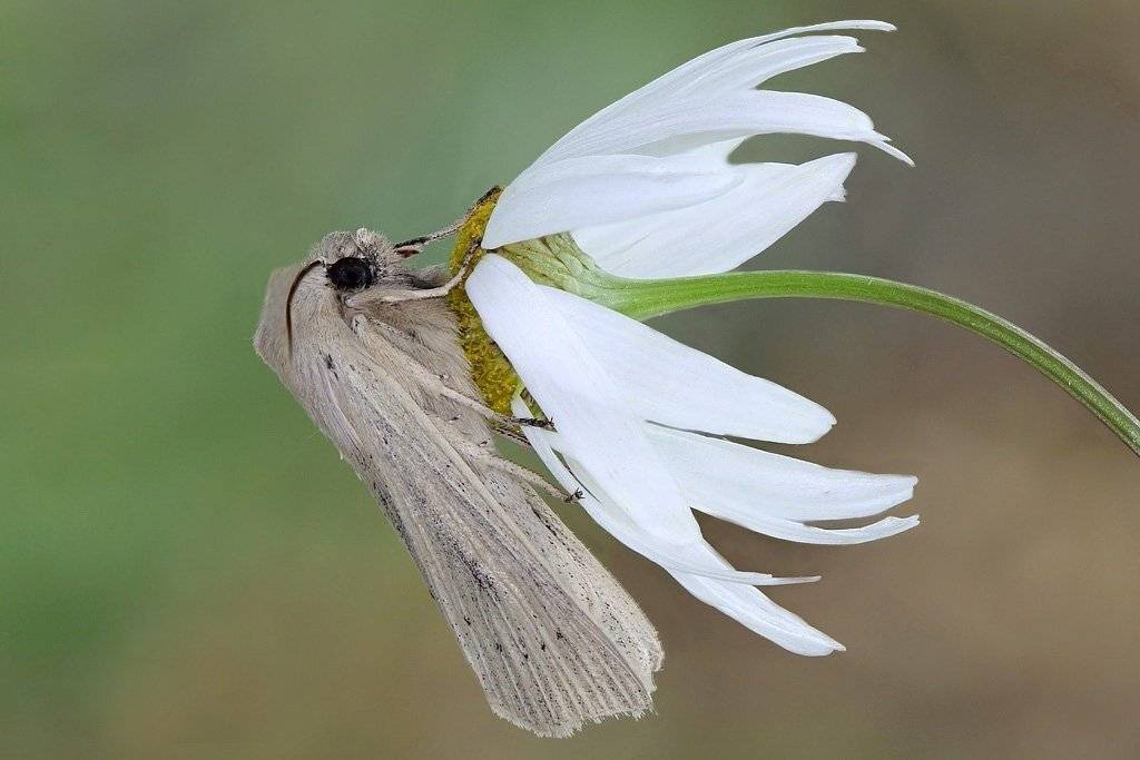 , Сергей Таланов