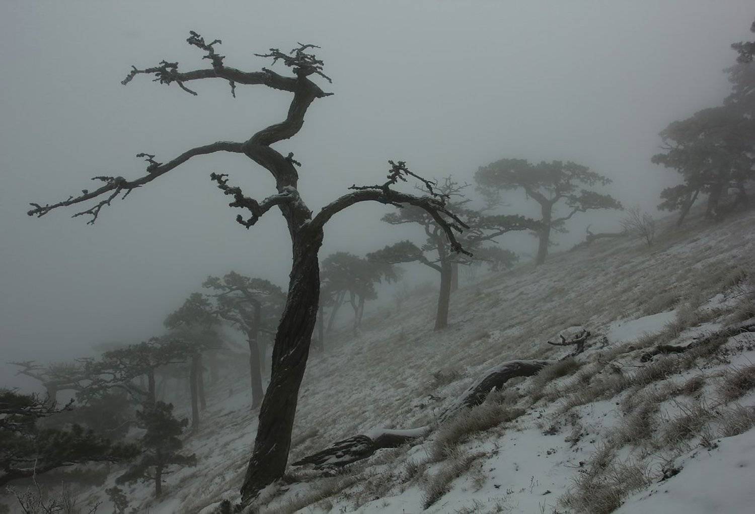 , Ситкин Игорь