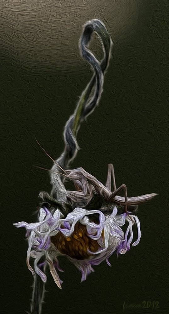 , Игорь ФУММ