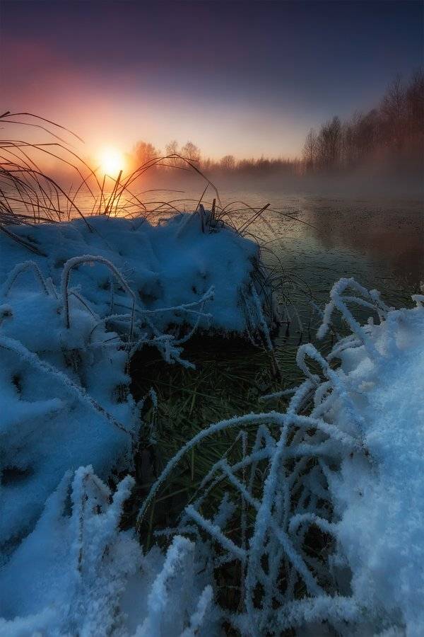 , Игорь Иванов