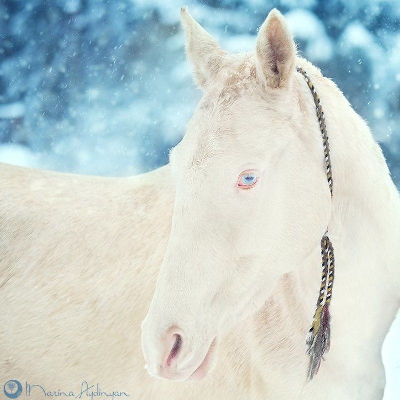 Неземная... фото превью