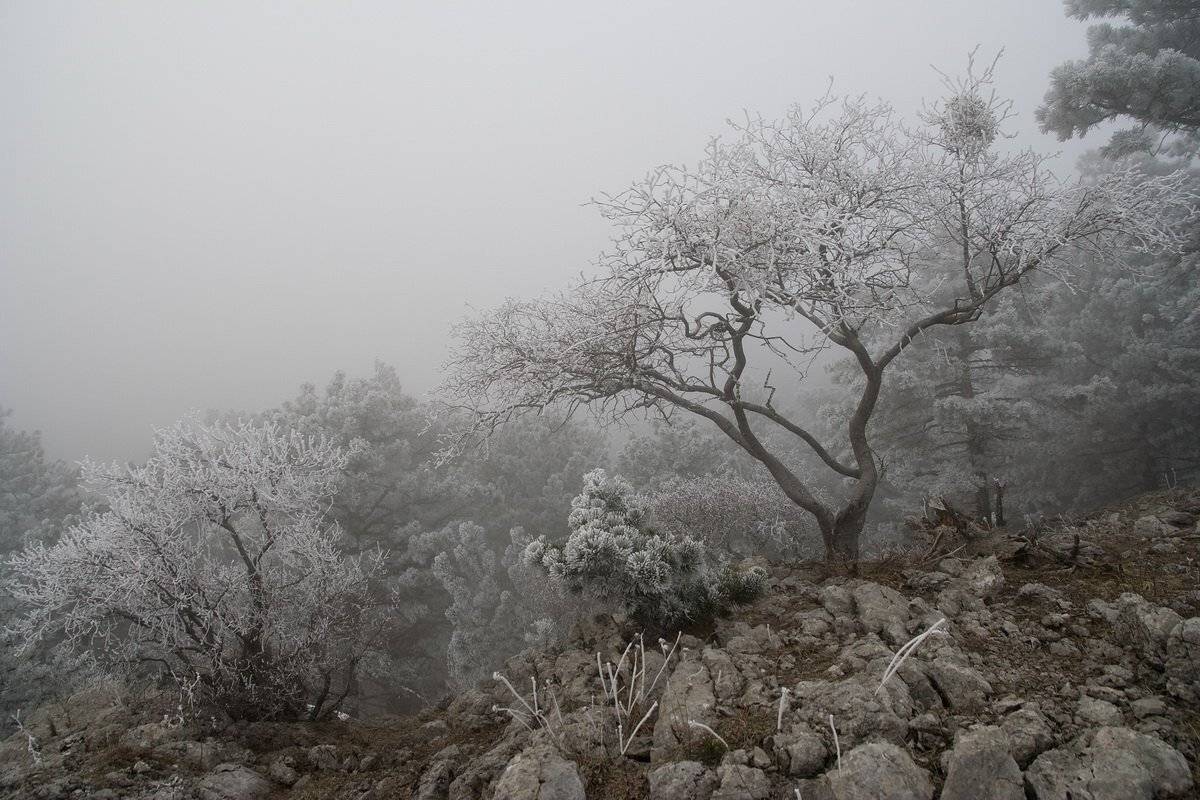 , Виталий Ра