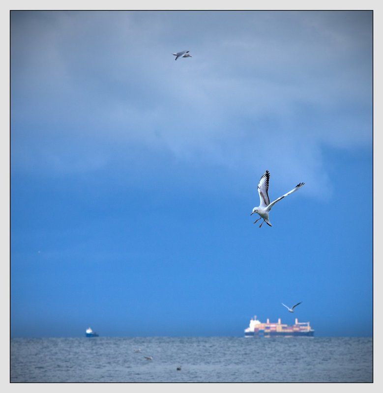 ... фото превью