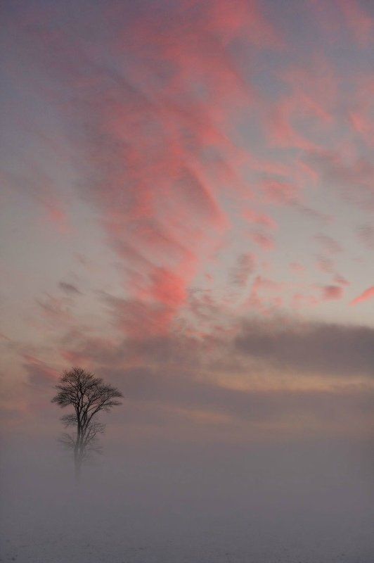 Sutkus фото превью