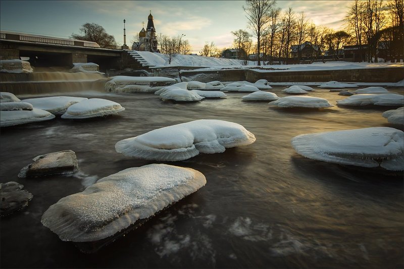 Грибы в декабре фото превью