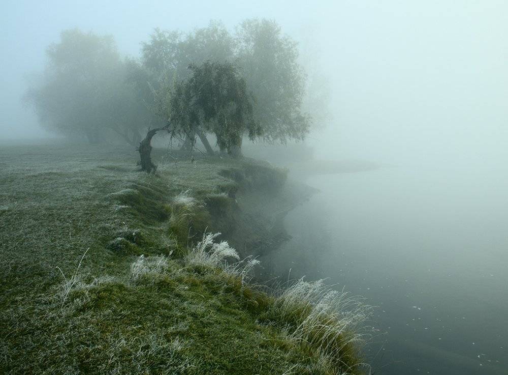 , Николай Морский