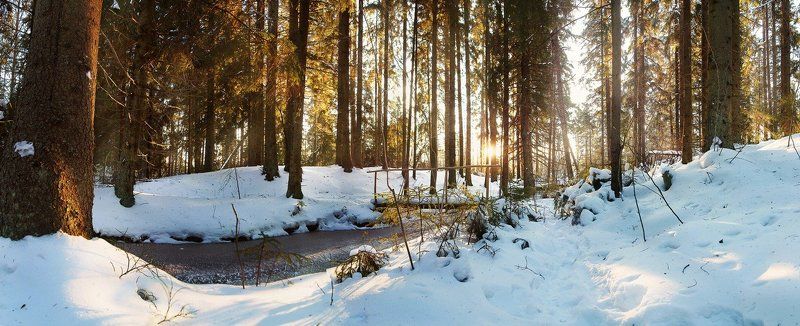У зимнего ручья фото превью