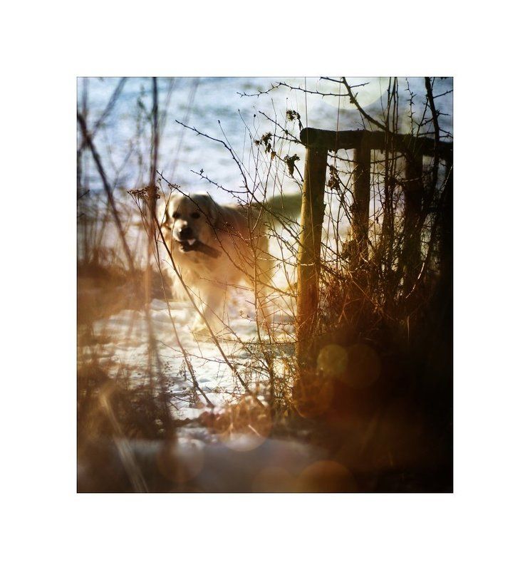 - фото превью