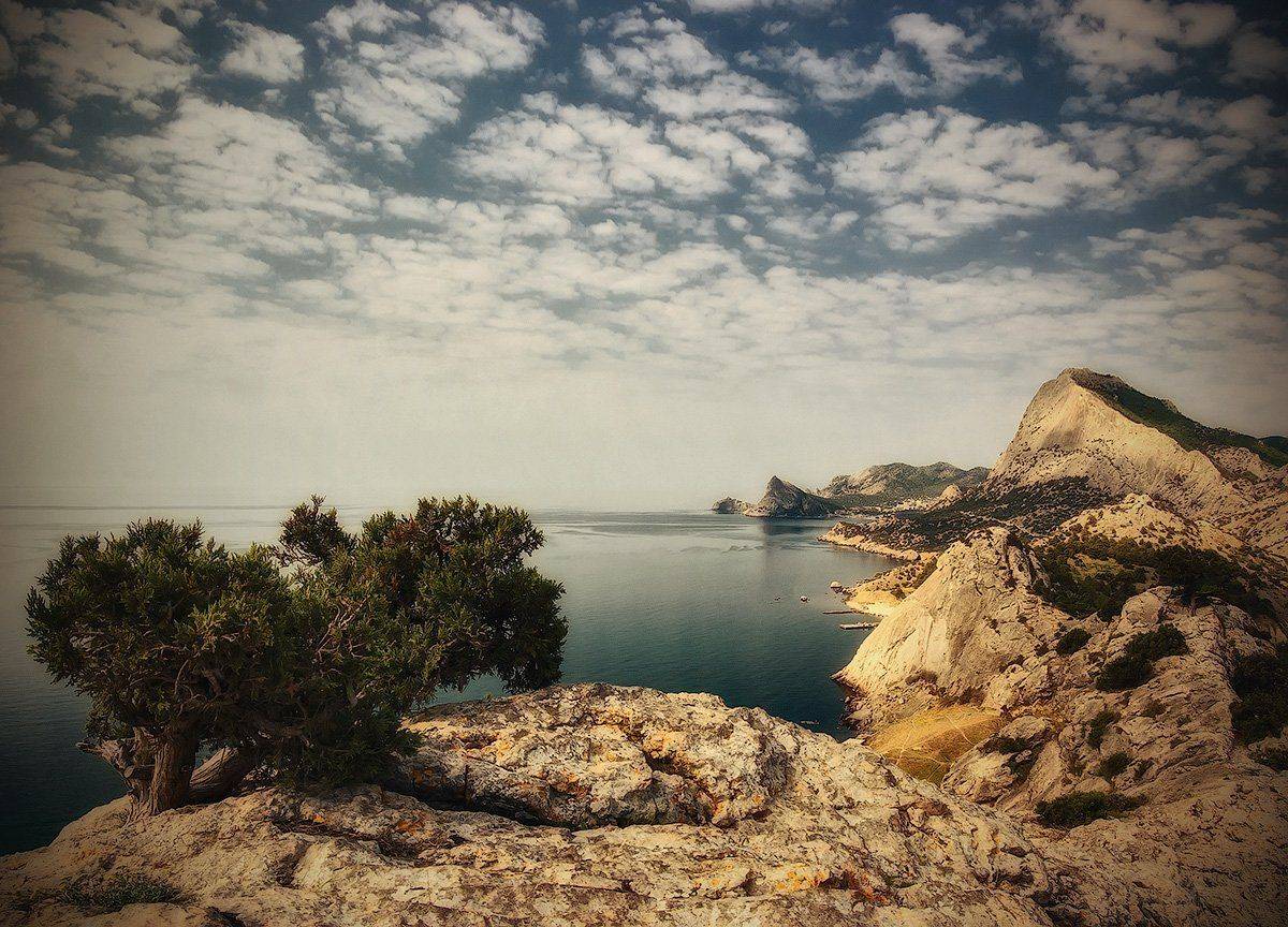 , Игорь Мелекесцев