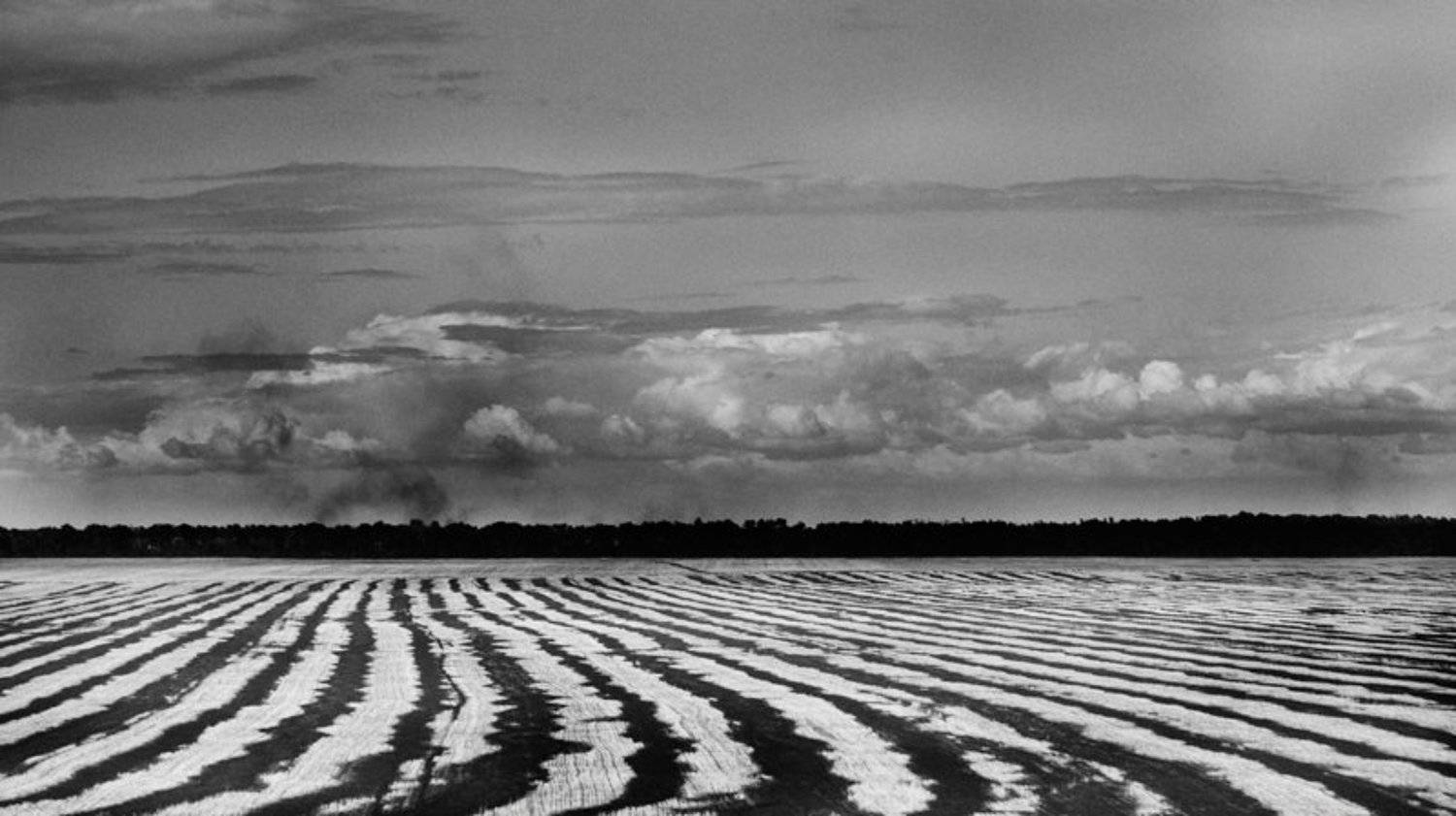 , Анна Ермолова