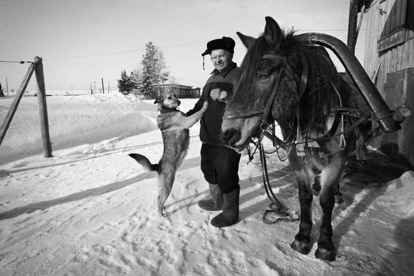 , Александр Аншуков